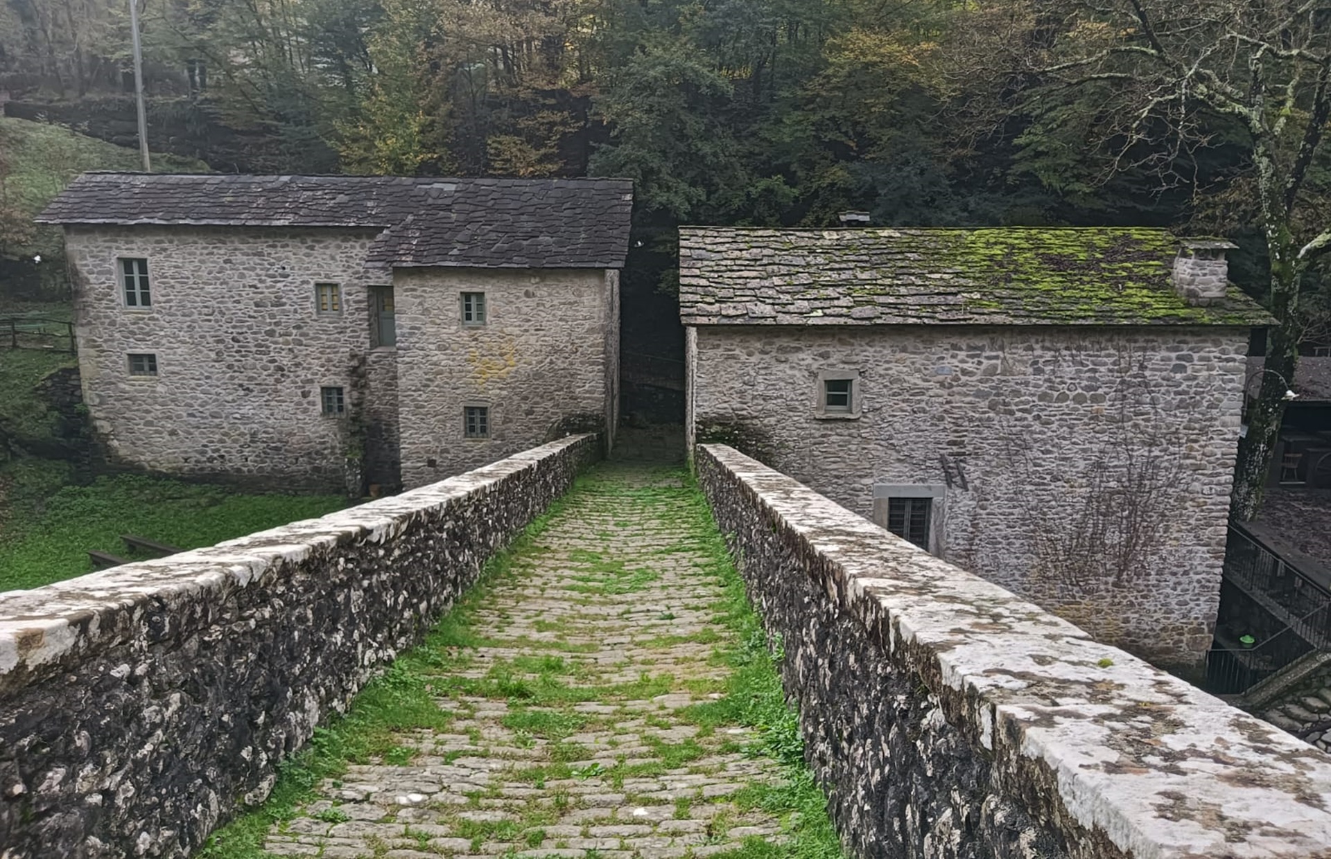 Patrimonio culturale: quattordici progetti sostenuti da Fondazione Caript con il Bando Restauro 2024